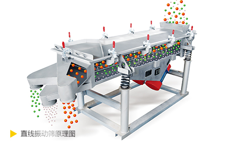 直线振动筛原理图